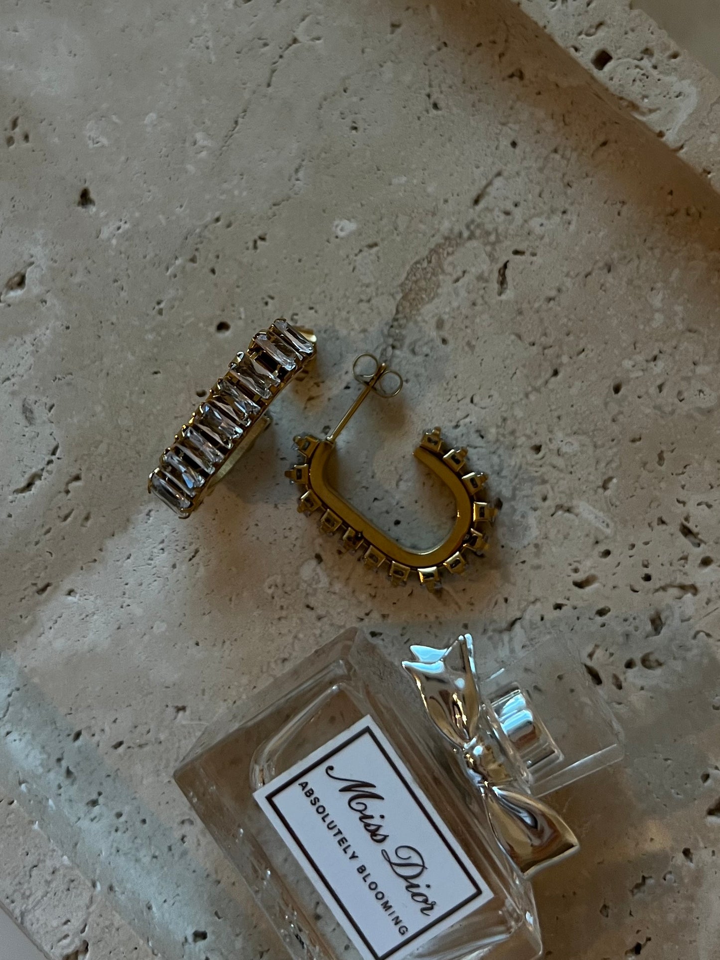 Shiny earrings ✨
