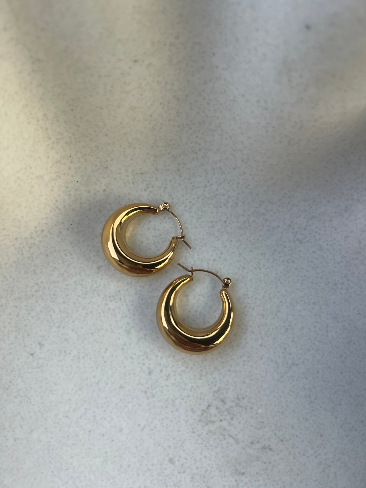 “Dream” hoops