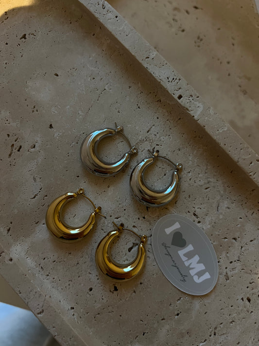 Silver / gold earrings