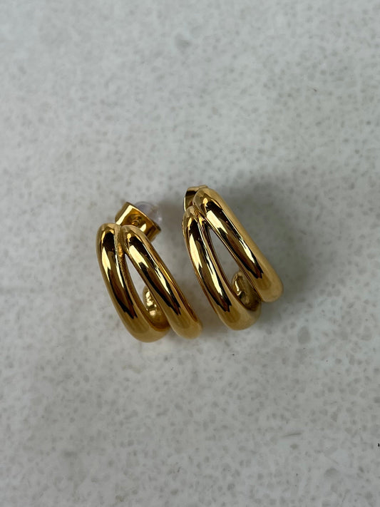 Elegant earrings